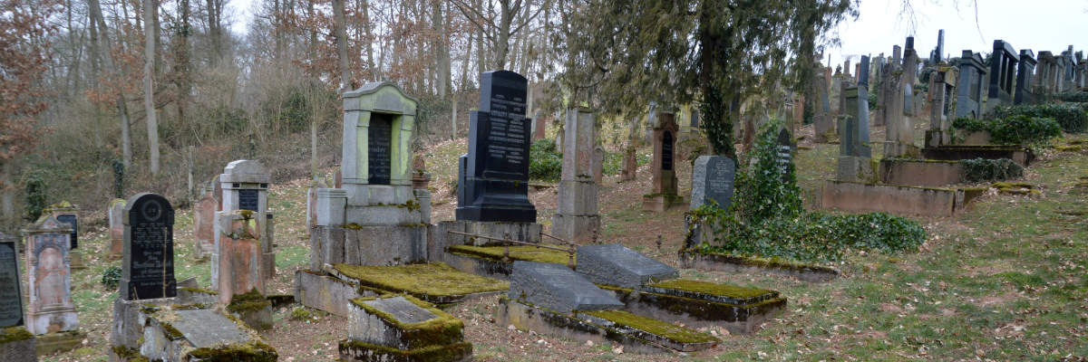 Ansicht vom Eingang wb 1200