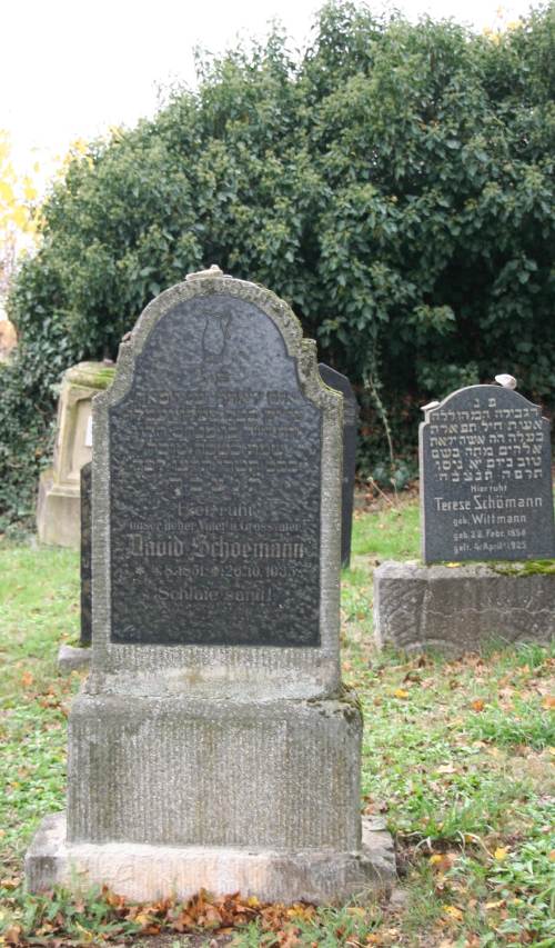 Grab von David Schoemann David Schönmann IMG 6488 500