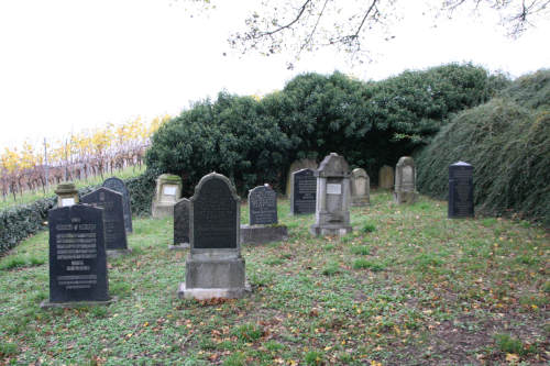 JF Kröv gesamt IMG 6508 500