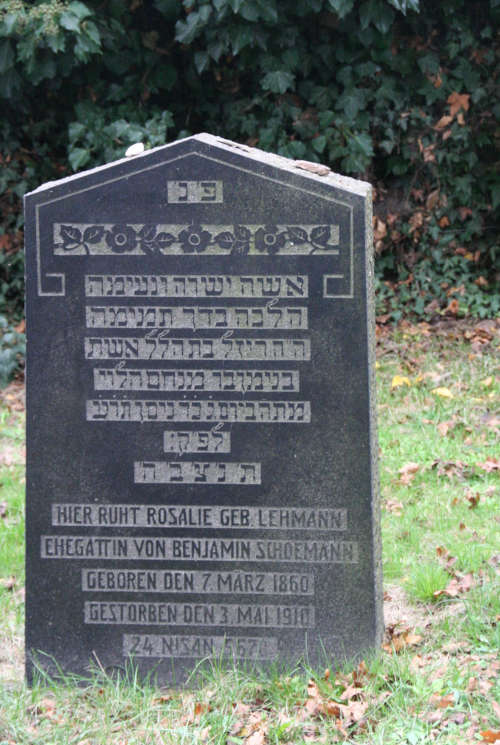 Rosalie Lehmann IMG 6497 500