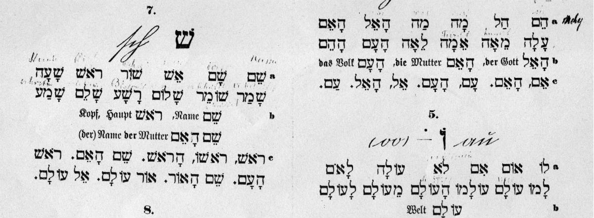 Schulbuchauszug 1200